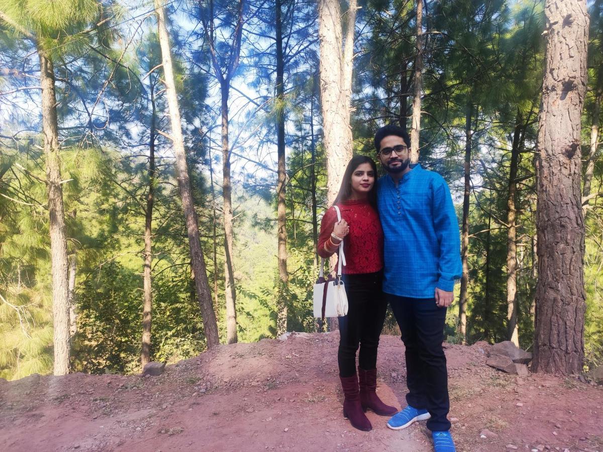 The Asgard Kasauli Bed & Breakfast Bagian luar foto