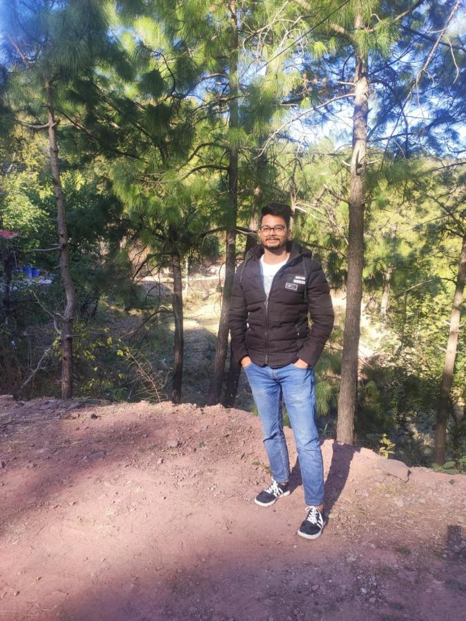 The Asgard Kasauli Bed & Breakfast Bagian luar foto