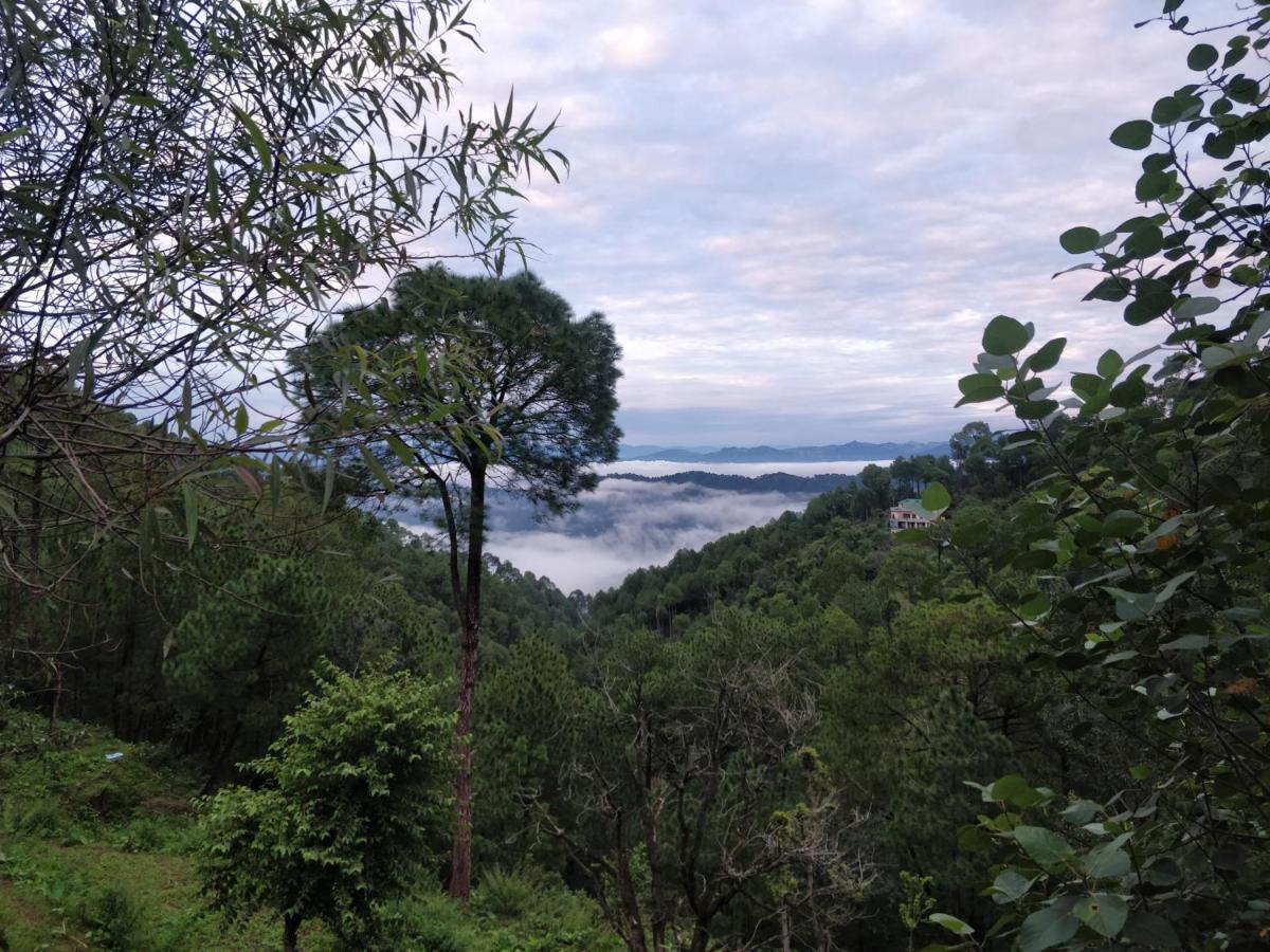 The Asgard Kasauli Bed & Breakfast Bagian luar foto